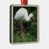 Witte ibis foto Ornament (Rechts)
