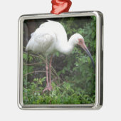 Witte ibis foto Ornament (Links)