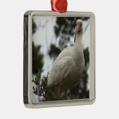 Witte ibis foto Ornament (Rechts)