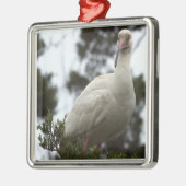 Witte ibis foto Ornament (Links)