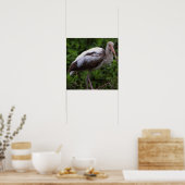 Witte ibis juveniele Poster (Keuken)