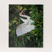 Witte Ibis Legpuzzel (Verticaal)
