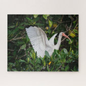 Witte Ibis Legpuzzel (Horizontaal)