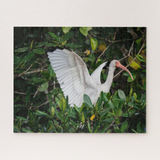 Witte Ibis Legpuzzel