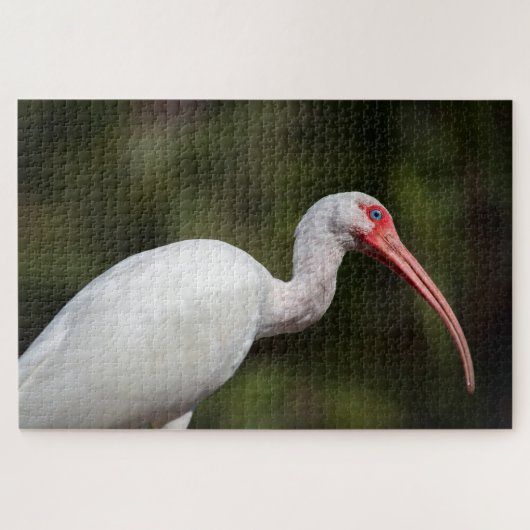 Witte Ibis Legpuzzel (Horizontaal)