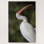 Witte Ibis Legpuzzel (Verticaal)