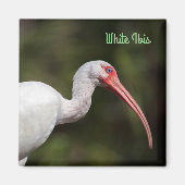 Witte Ibis Magneet (Voorkant)
