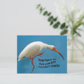 Witte Ibis met een Jeuk Briefkaart (Staand voorkant)