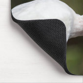 Witte Ibis Muismat (Hoek)