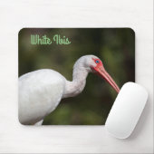 Witte Ibis Muismat (Met muis)