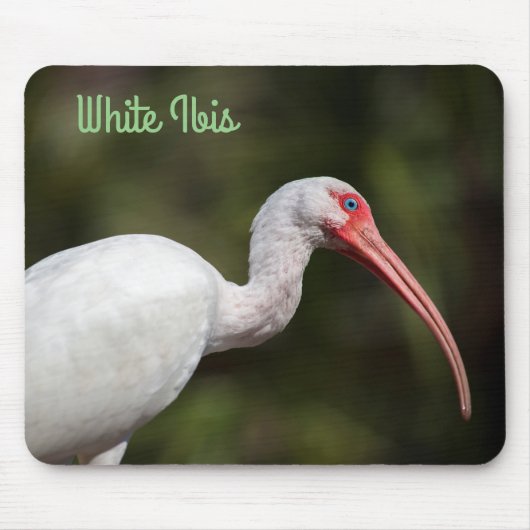 Witte Ibis Muismat (Voorkant)