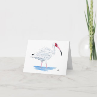 Witte Ibis Notitiekaartje