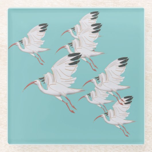 Witte ibis Onderzetters (Voorkant)