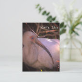 Witte ibis vogel foto Briefkaart (Staand voorkant)