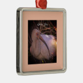 Witte ibis vogel foto Ornament (Rechts)