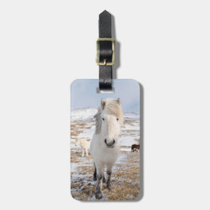 Witte IJslandse paard, IJsland Bagagelabel