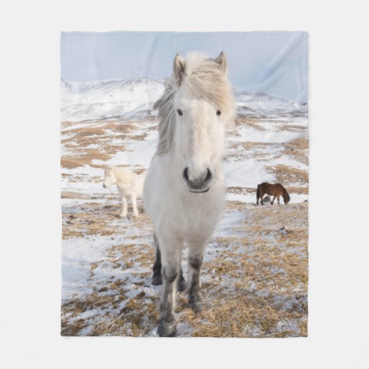 Witte IJslandse paard, IJsland Fleece Deken (Voorkant)