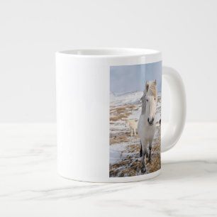 Witte IJslandse paard, IJsland Grote Koffiekop