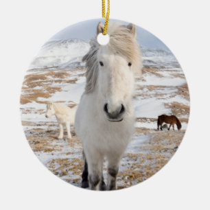 Witte IJslandse paard, IJsland Keramisch Ornament