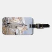 Witte IJslandse paarden, IJsland Bagagelabel (Voorkant horizontaal)