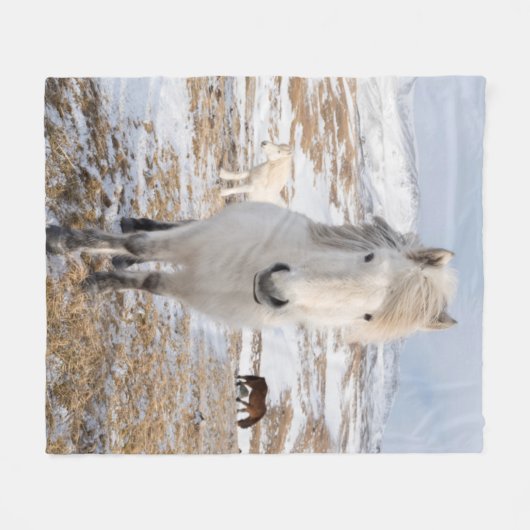 Witte IJslandse paarden, IJsland Fleece Deken (Voorkant (Horizontaal))