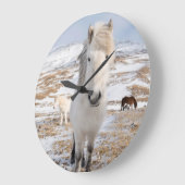Witte IJslandse paarden, IJsland Grote Klok (Hoek)