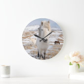 Witte IJslandse paarden, IJsland Grote Klok (Huis)