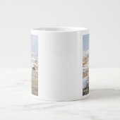 Witte IJslandse paarden, IJsland Grote Koffiekop (Voorkant)