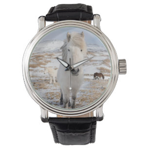 Witte IJslandse paarden, IJsland Horloge