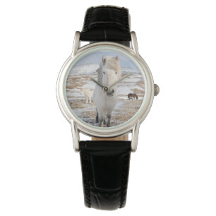 Witte IJslandse paarden, IJsland Horloge