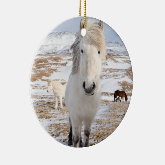 Witte IJslandse paarden, IJsland Keramisch Ornament (Rechts)