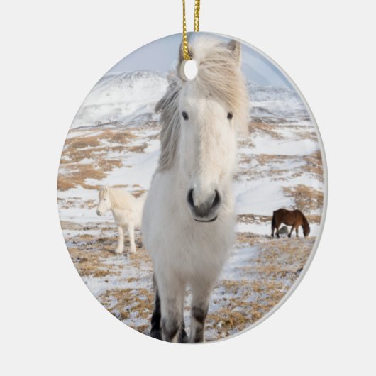 Witte IJslandse paarden, IJsland Keramisch Ornament (Links)