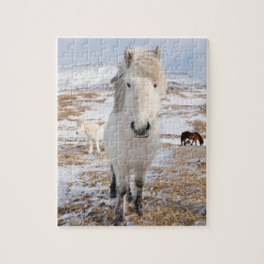 Witte IJslandse paarden, IJsland Legpuzzel (Verticaal)