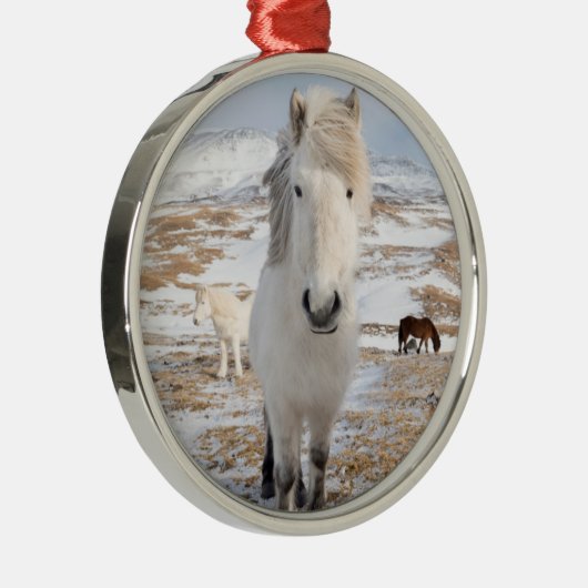 Witte IJslandse paarden, IJsland Metalen Ornament (Rechts)