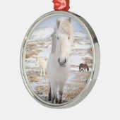 Witte IJslandse paarden, IJsland Metalen Ornament (Links)