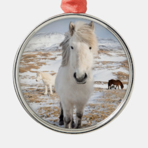 Witte IJslandse paarden, IJsland Metalen Ornament