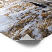 Witte IJslandse paarden, IJsland Poster (Hoek)