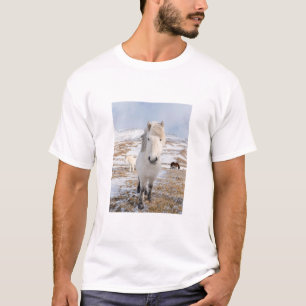 Witte IJslandse paarden, IJsland T-shirt