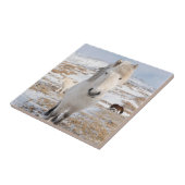 Witte IJslandse paarden, IJsland Tegeltje (Zijkant)