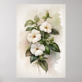 Witte Impatiens Bloemenkunst Print Poster