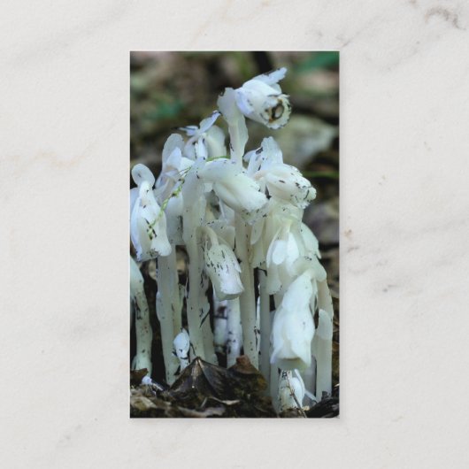 Witte Indiase Pijp Wildbloemen Visitekaartje (Achterkant)