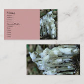 Witte Indiase Pijp Wildbloemen Visitekaartje (Voorkant / Achterkant)