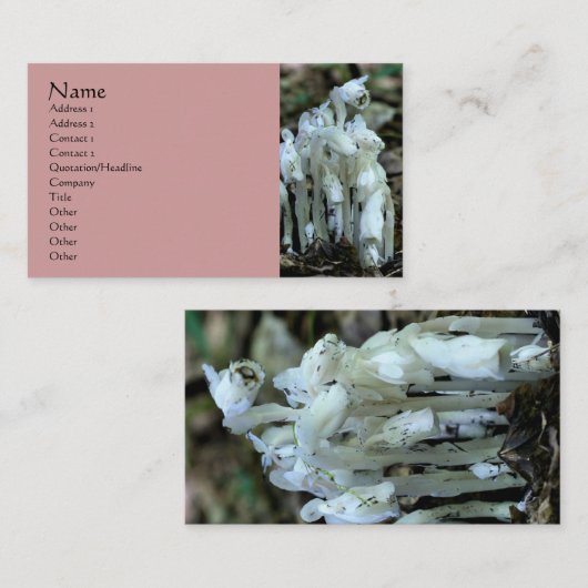 Witte Indiase Pijp Wildbloemen Visitekaartje (Voorkant / Achterkant)