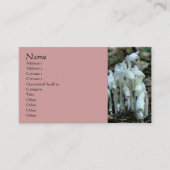 Witte Indiase Pijp Wildbloemen Visitekaartje (Voorkant)