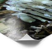 Witte Indische pijp champignonbloemen Foto Afdruk (Hoek)