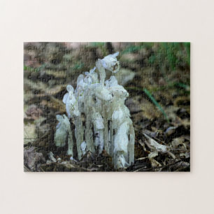 Witte Indische Pijp Ghost Flower Wildbloemen Legpuzzel