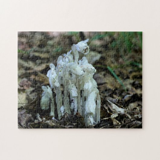 Witte Indische Pijp Ghost Flower Wildbloemen Legpuzzel (Horizontaal)