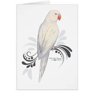 Witte Indische ringnek Parrot