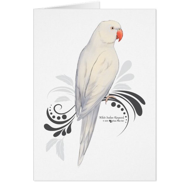 Witte Indische ringnek Parrot (Voorkant)