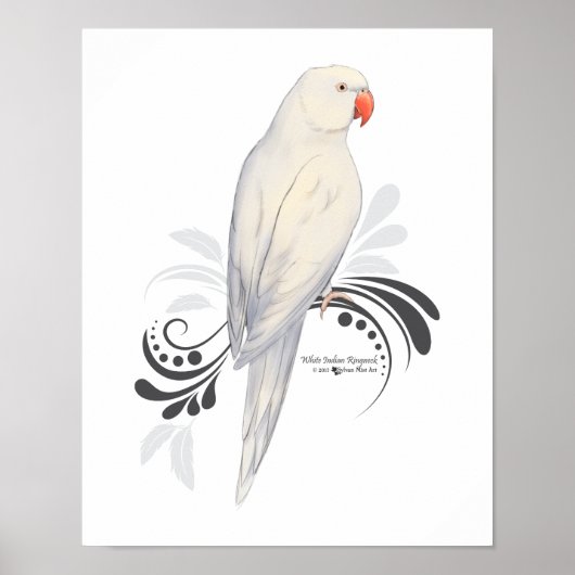 Witte Indische ringnek Parrot Poster (Voorkant)